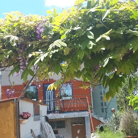 Apartment Sarkany Lak