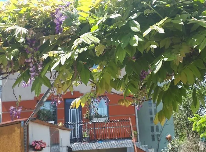 Apartament Sarkany Lak